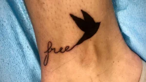 Breaking the Silence: Amanda Sobhy’s Journey Through Bulimia and the Path to Professional Recovery in Elite Athletics