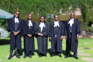 From Criminalization to Constitutional Clarity: A Defining Moment for Reproductive Rights in Africa