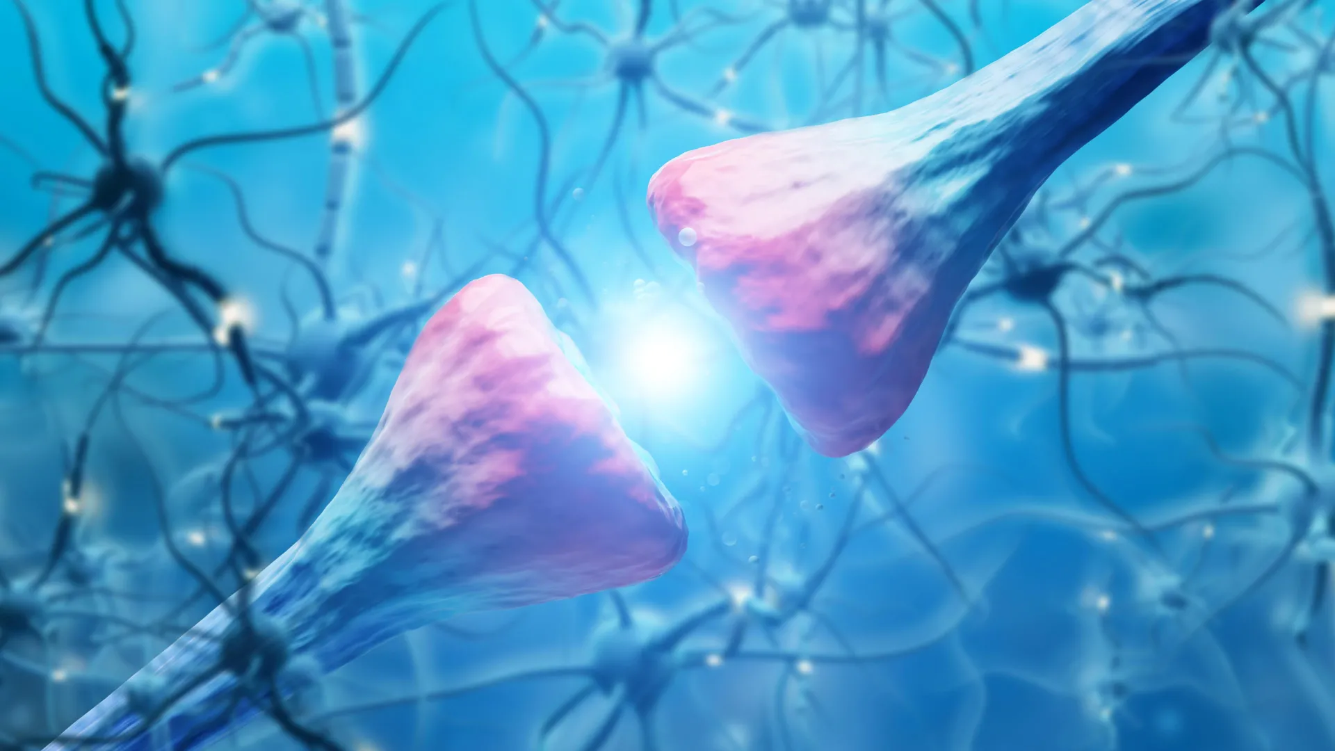 Lasting Biological Changes in the Brain Drive Cocaine Relapse, New Research Reveals