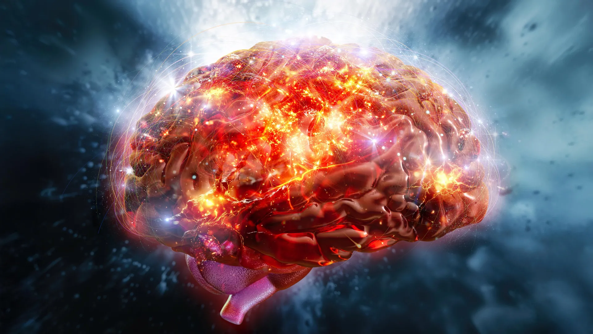 The Astringent Taste of Flavanols: A New Pathway to Brain Health Uncovered