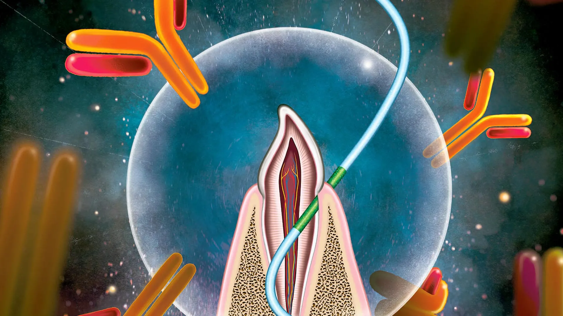 Novel Dental Floss-Based Vaccine Delivery Method Demonstrates Potent Mucosal and Systemic Immunity