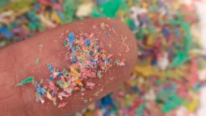 The Invisible Threat: Microplastics Found to Trigger Inflammation and Damage Linked to Neurodegenerative Diseases