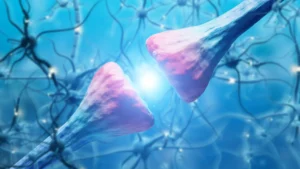 The Lasting Biological Scars of Cocaine: New Research Illuminates Brain Changes Driving Relapse