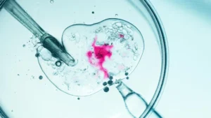 UK’s Pioneering Mitochondrial Donation IVF Technique Results in Eight Healthy Babies, Offering New Hope for Families