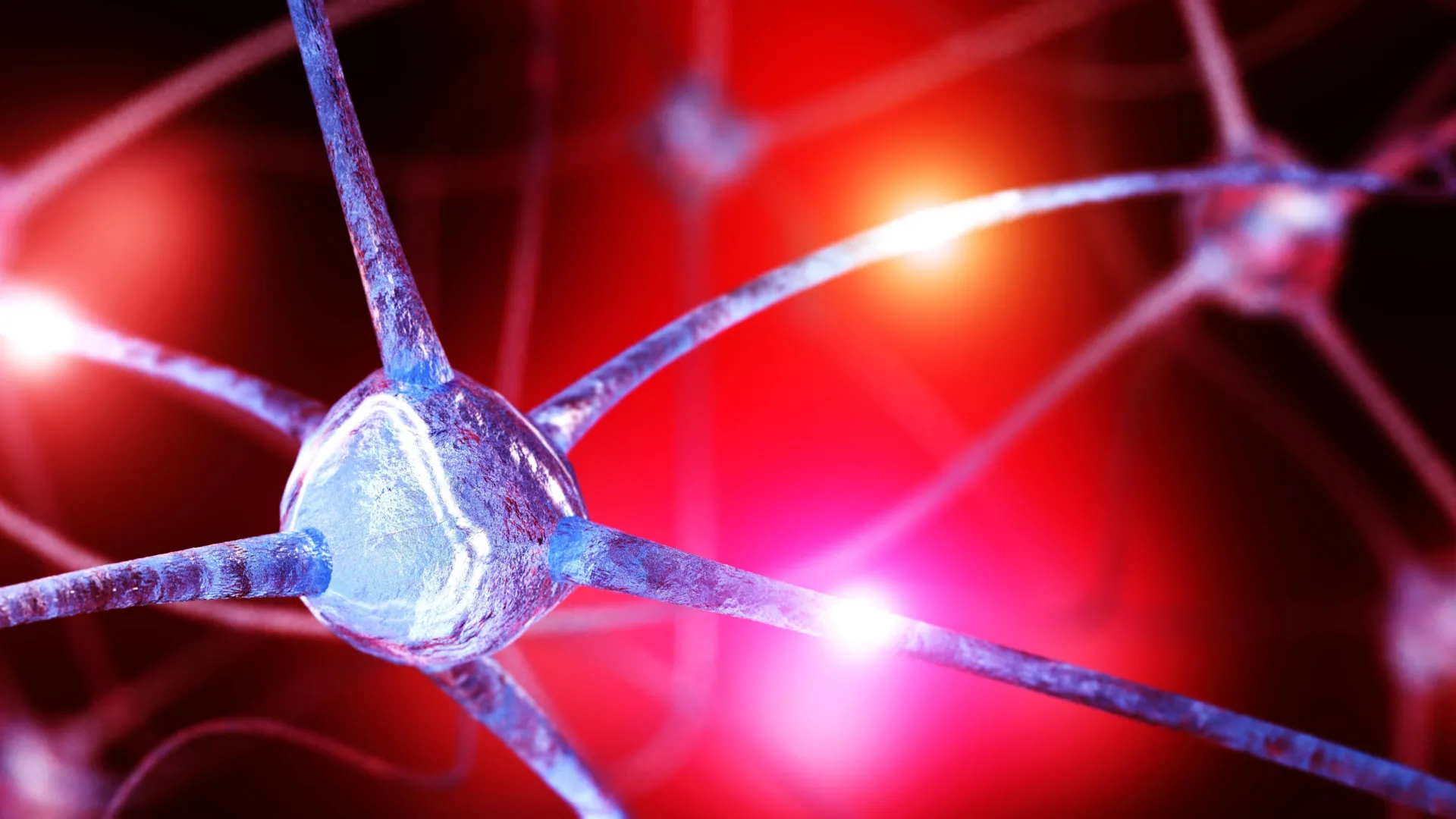 A Measurable Change in Brain Chemistry Involving Choline May Be Shared by People with Anxiety Disorders