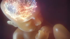 Chlorpyrifos Exposure During Pregnancy Linked to Lasting Brain Changes and Motor Deficits in Children