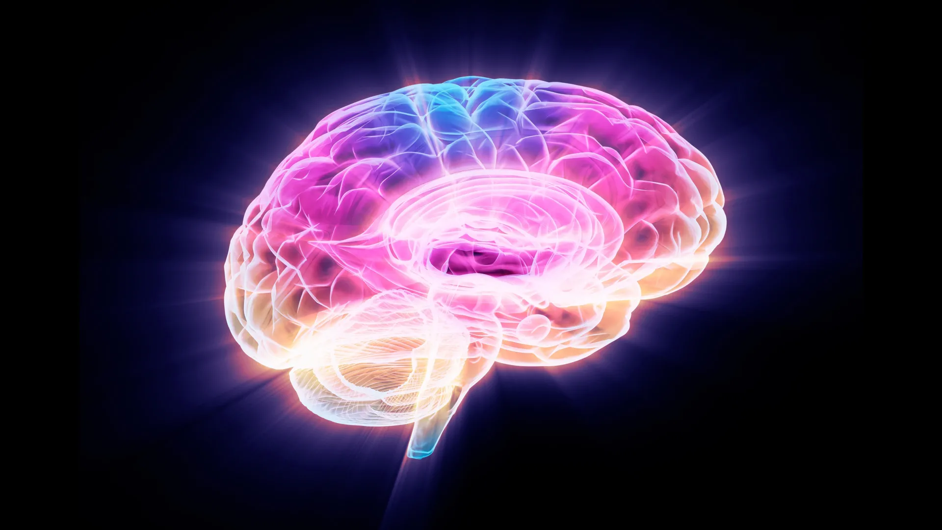 FTL1 Emerges as a Key Driver of Brain Aging, Offering Hope for Reversal