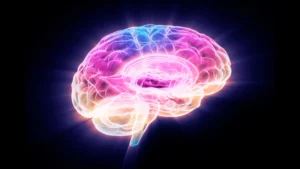 FTL1 Emerges as a Key Driver of Brain Aging, Offering New Hope for Cognitive Therapies