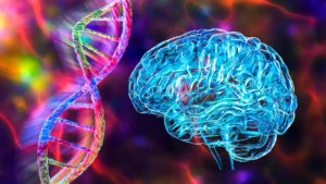 Unlocking Schizophrenia’s Cognitive Puzzle: MIT Researchers Pinpoint Gene Mutation Affecting Belief Updating