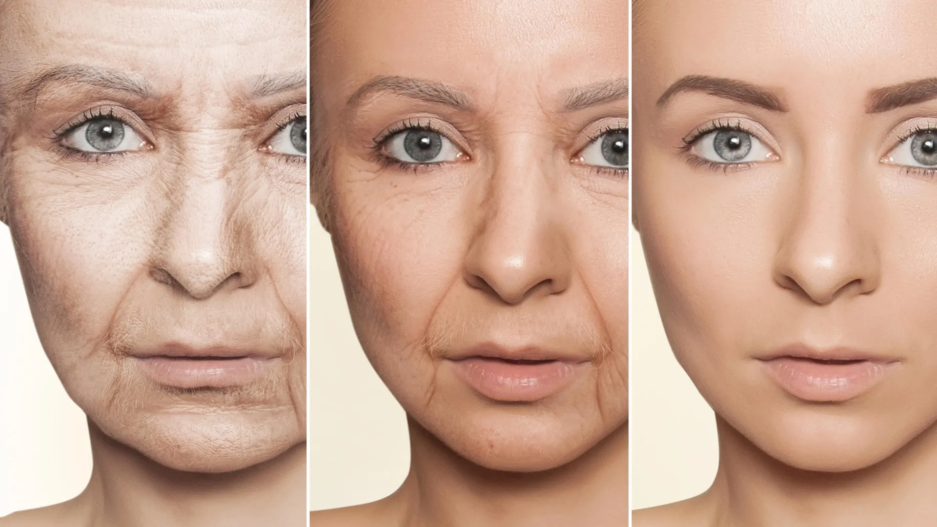 Unlocking the Secrets of Longevity: A Novel Brain Protein Linked to Aging