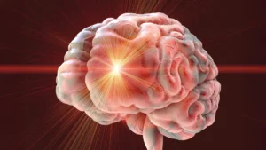Potential Anti-Aging Drug Combination Linked to Significant Brain Damage in Mice