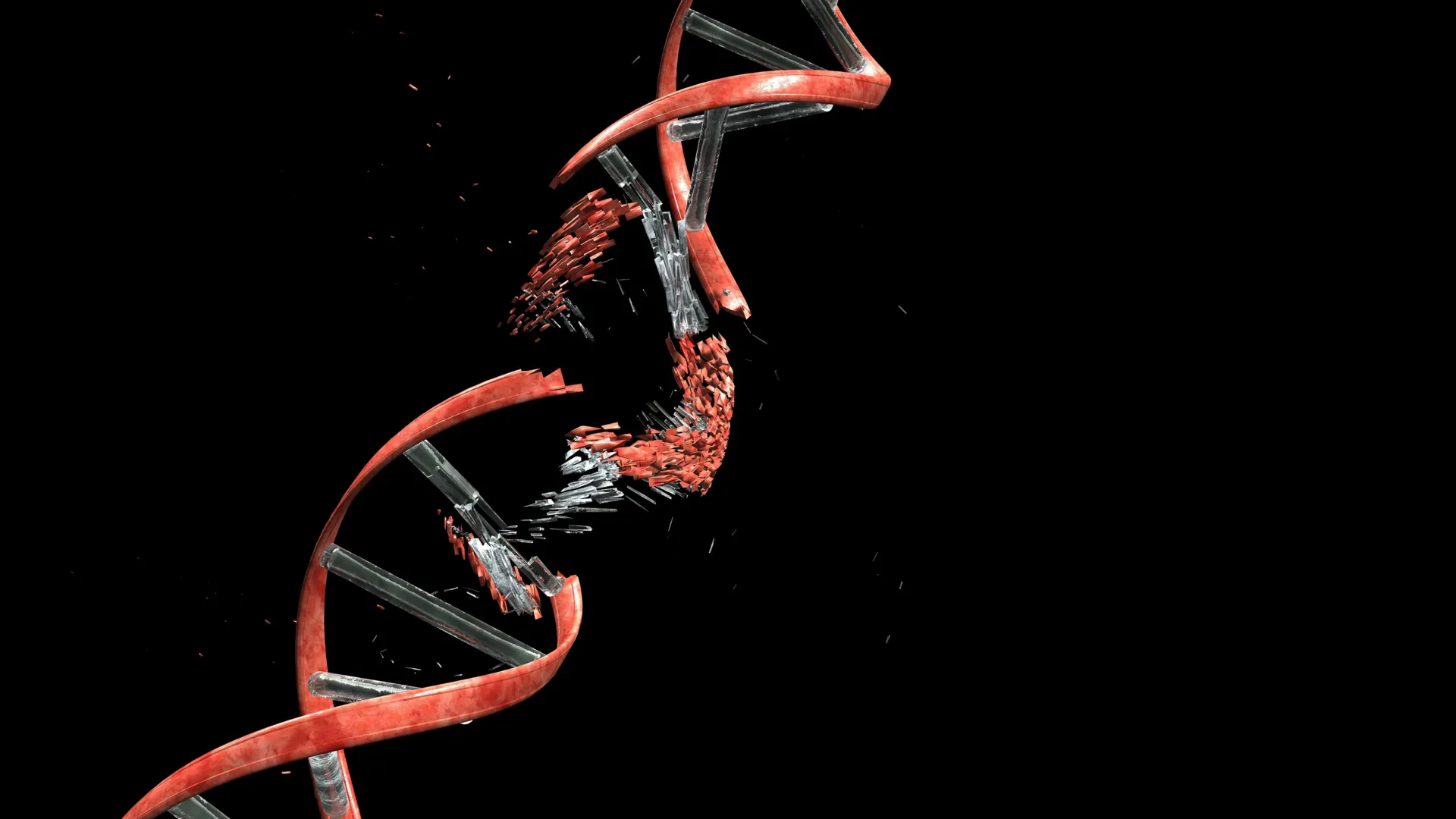 The Developing Brain Endures and Repairs Significant DNA Damage During Neuronal Migration