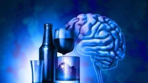 Alcohol and Stress in Early Adulthood: Lasting Brain Scars Revealed by UMass Amherst Study