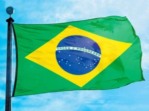 Brazil’s Congress Undermines Child Protection by Repealing Guidelines for Victims of Sexual Violence