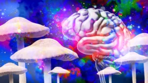 Psilocybin’s Psychedelic Blueprint: Single Dose May Rewire Brain for a Month, Offering Clues to Mental Health Therapies