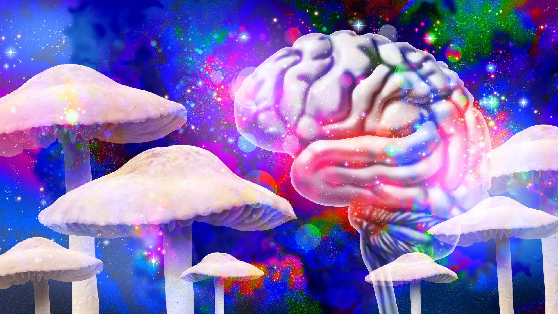 Psilocybin’s Psychedelic Blueprint: Single Dose May Rewire Brain for a Month, Offering Clues to Mental Health Therapies