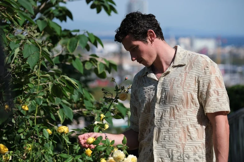 Rosebush Pruning: A Transgressive Exploration of Familial Decay and Patriarchal Rot