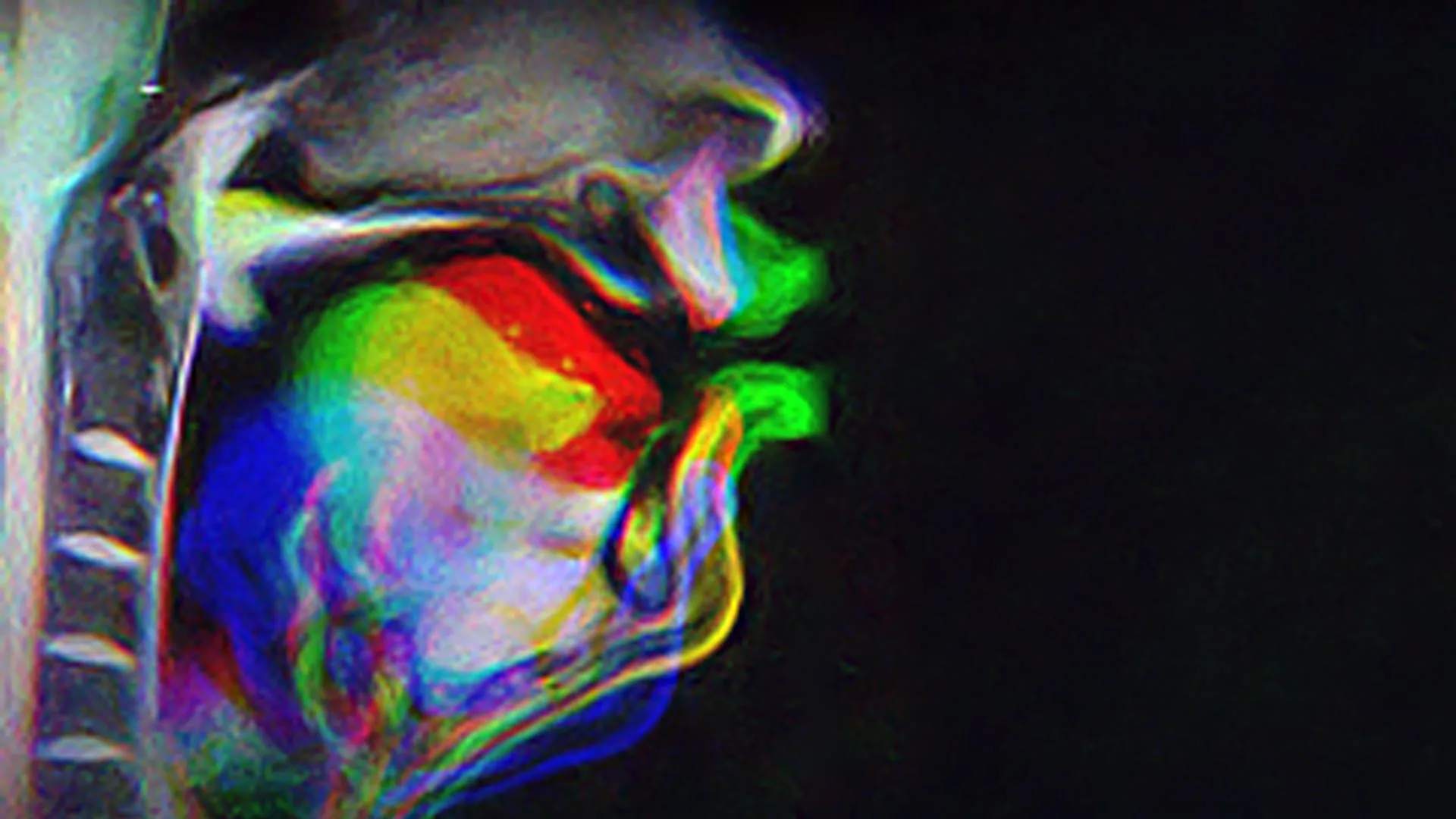 The Sensory Basis of Speech Motor Learning and Memory
