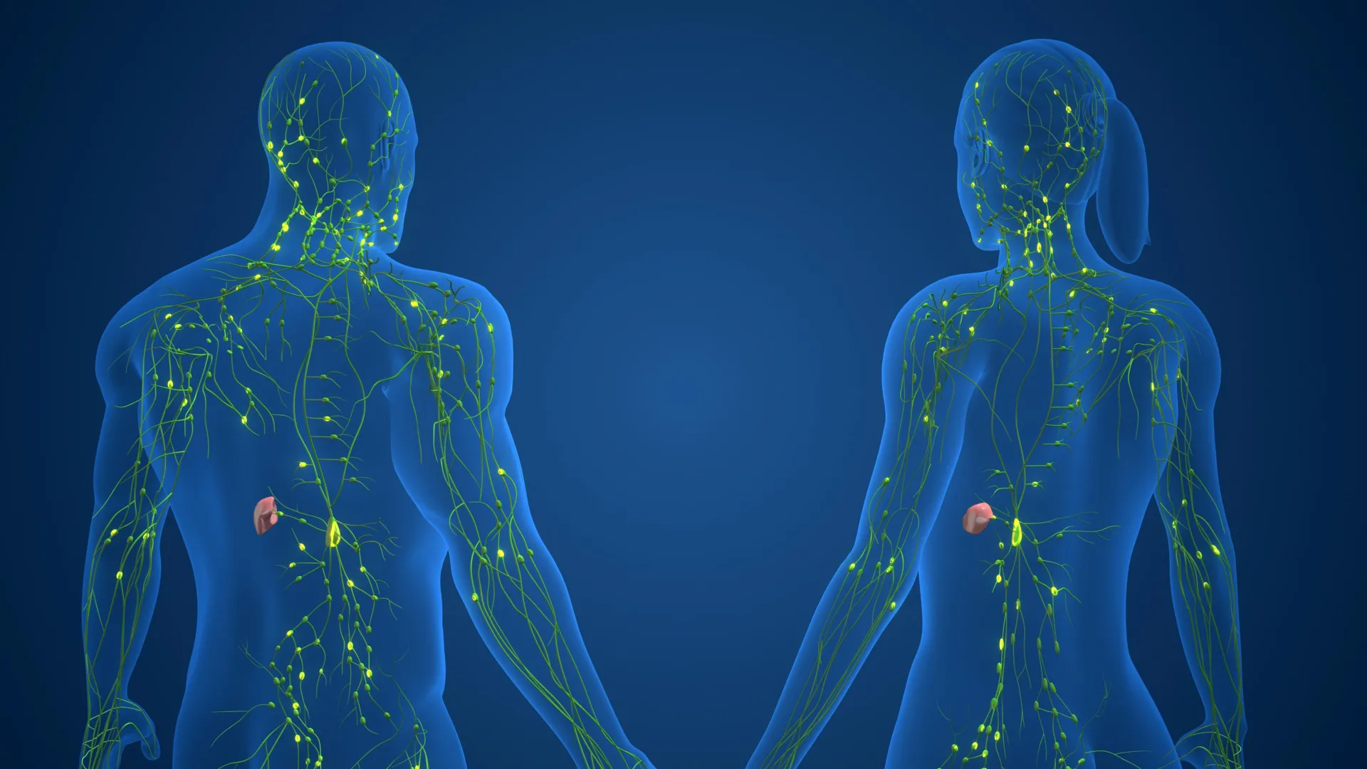 Unlocking the Genetic Blueprint of Sex-Based Autoimmune Disparities: New Research Reveals Why Women Are More Susceptible to Immune System Dysfunction