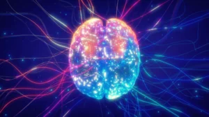Unlocking the Mind’s Switchboard: University of Iowa Researchers Reveal How the Brain’s Command Center Navigates Uncertainty
