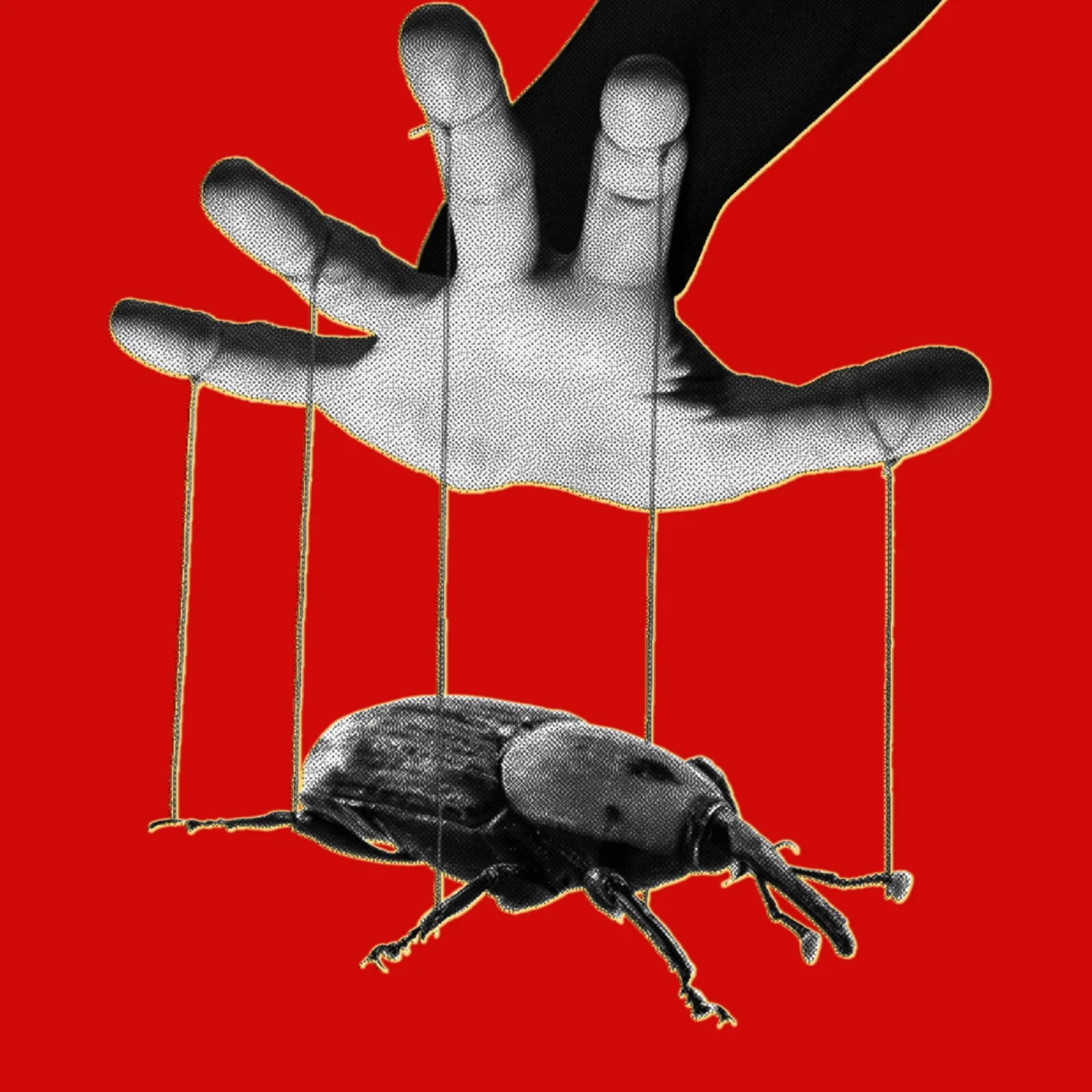 AI-Driven Discovery of PHP2Shell Vulnerabilities Marks a New Era in Software Security